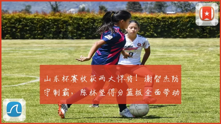 山东杯赛收获两大悍将！谢智杰防守制霸，陈林坚得分篮板全面带动