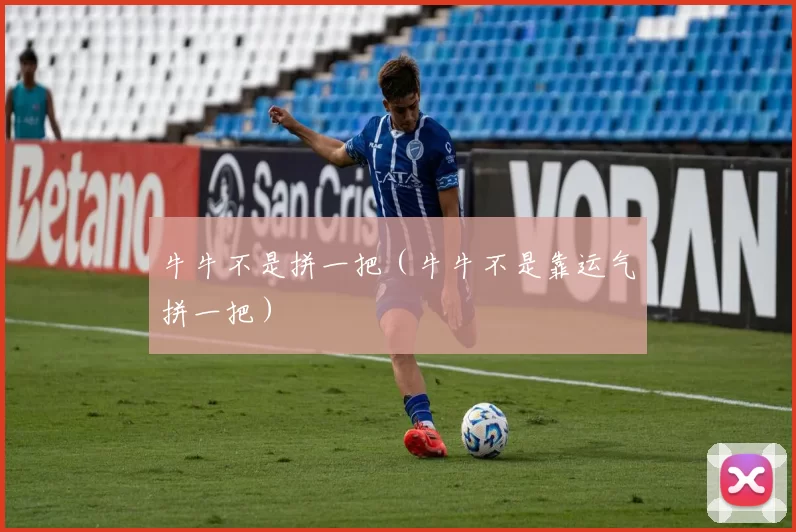 牛牛不是拼一把（牛牛不是靠运气拼一把）