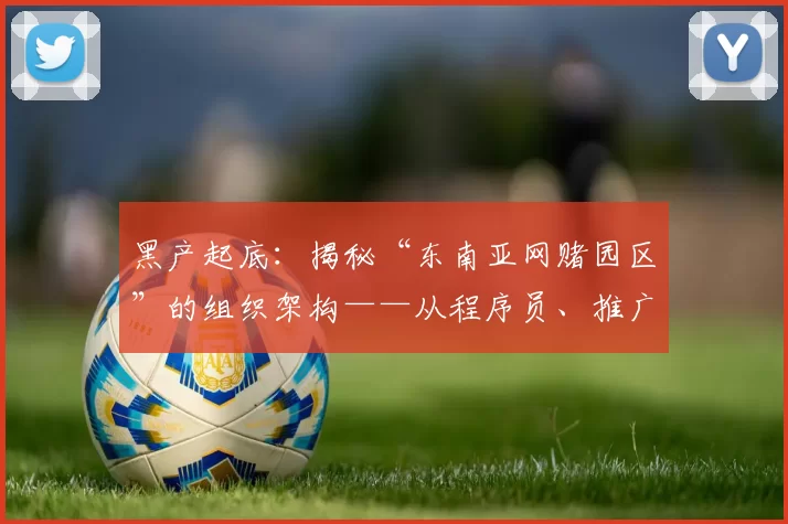 黑产起底：揭秘“东南亚网赌园区”的组织架构——从程序员、推广员到后勤的严密分工。（东南亚网赌产业园运营剖析：技术、推广与后勤的精细化分工）