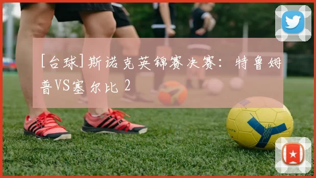 [台球]斯诺克英锦赛决赛：特鲁姆普VS塞尔比 2